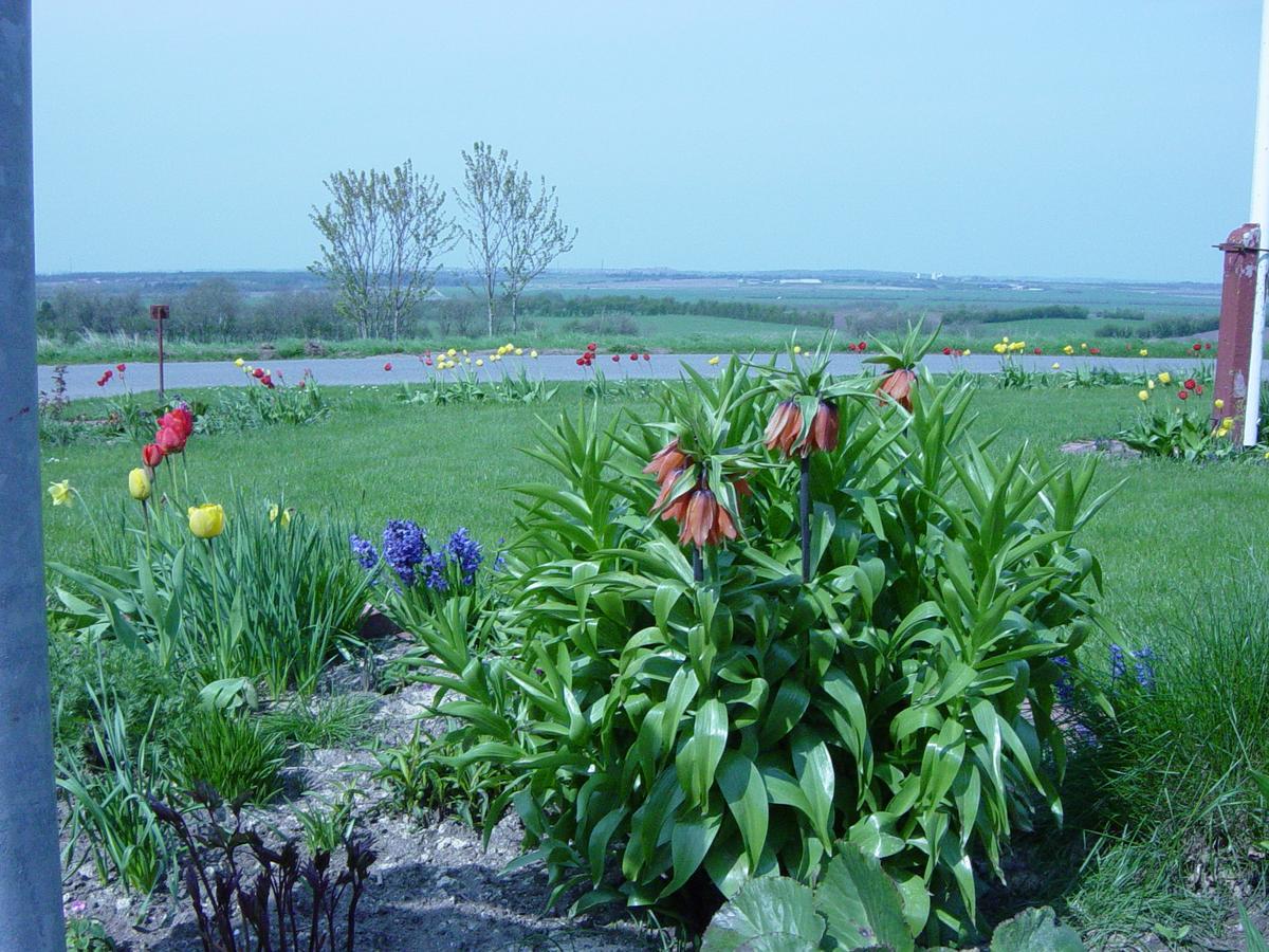 Bed and Breakfast Kardybvej 8 Tastum Zewnętrze zdjęcie