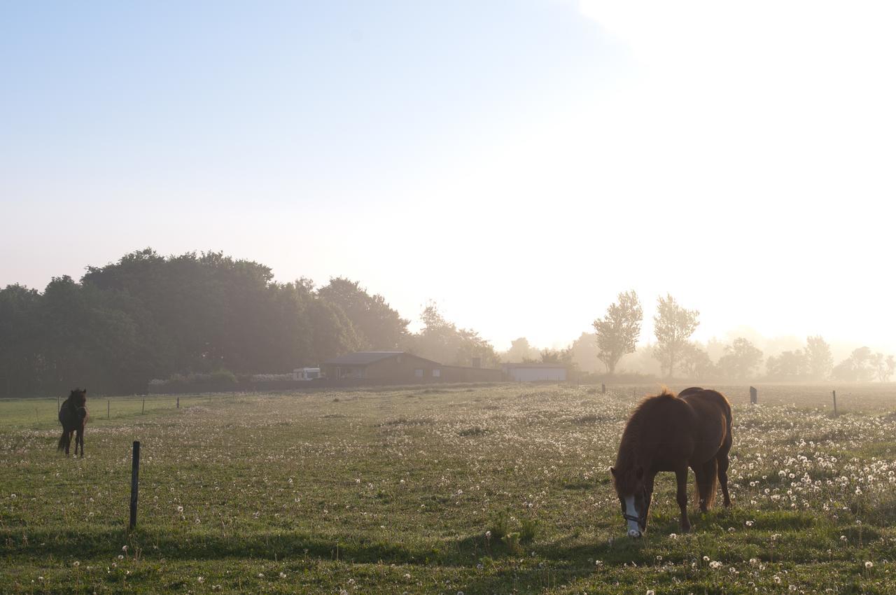 Bed and Breakfast Kardybvej 8 Tastum Zewnętrze zdjęcie